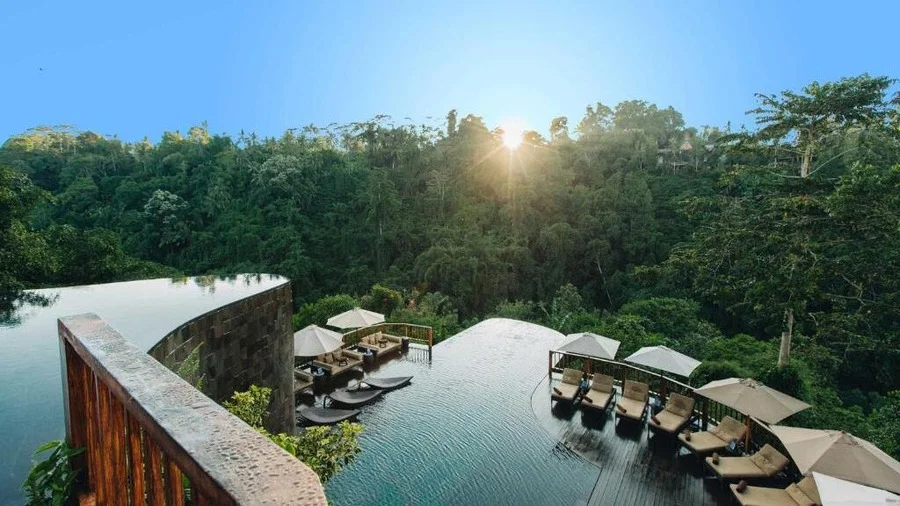 Sunrise view at Hanging Gardens of Bali, lush forest vegetation - Bali travel guide