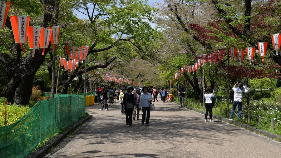 People enjoying a leisurely walk in Ueno Park, Tokyo, a popular destination in Tokyo Travel Guide