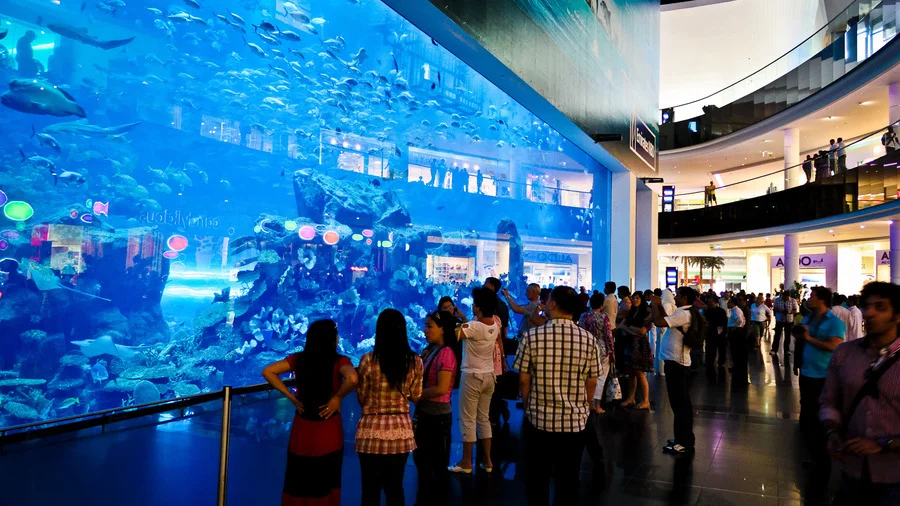 Tourists enjoying the Dubai Aquarium in the Dubai Mall