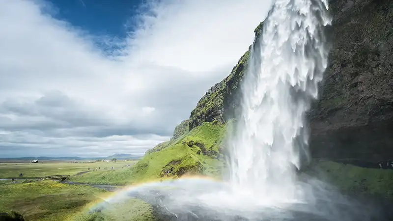 Seljalandsfoss Waterfall Iceland Summer - majestic view with lush greenery and cascading water