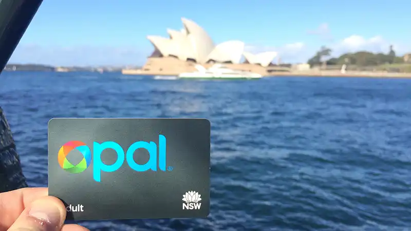 Opal card in hand, a key feature in our Sydney travel guide for easy transportation.